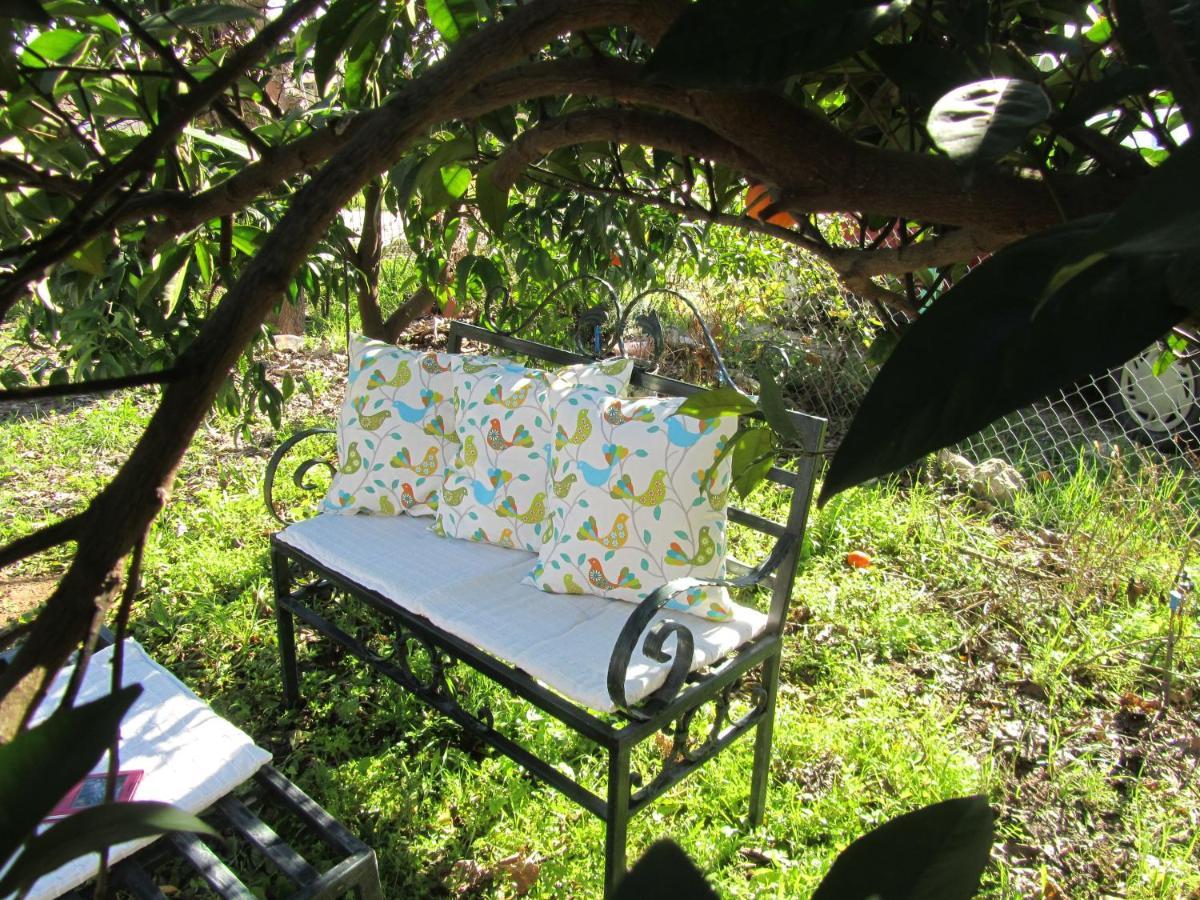 Cirali Kus Yuvasi Bed & Breakfast Phòng bức ảnh