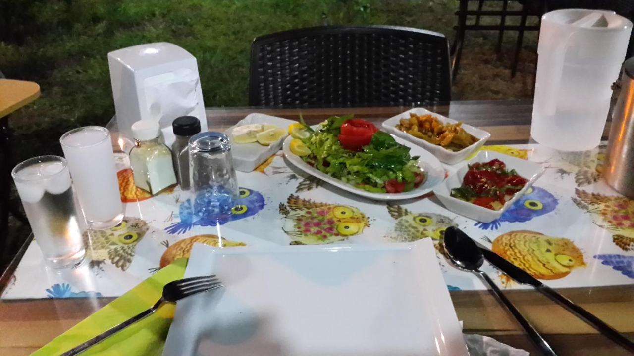 Cirali Kus Yuvasi Bed & Breakfast Ngoại thất bức ảnh