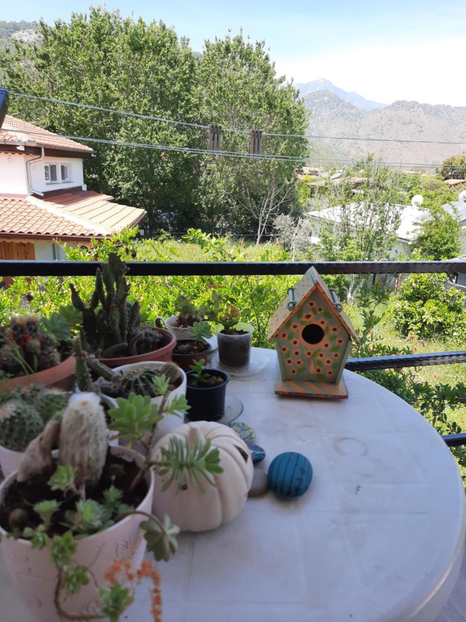 Cirali Kus Yuvasi Bed & Breakfast Phòng bức ảnh