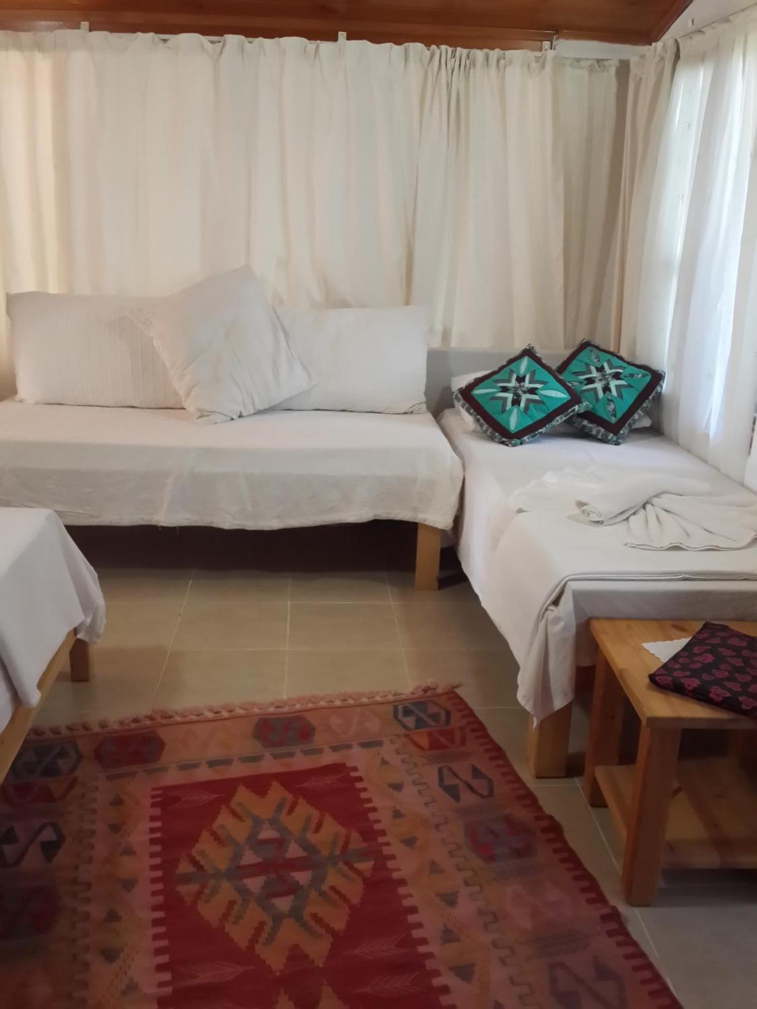 Cirali Kus Yuvasi Bed & Breakfast Phòng bức ảnh